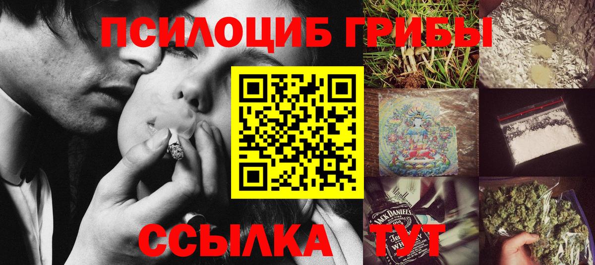 Мценск  Галлюциногенные грибы Cubensis  Галлюциногенные грибы мицелий  дарнет шоп  Вход с VPN 